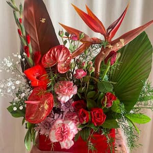 DodoMarket-Flowers-Delivery-Roses-Admiration